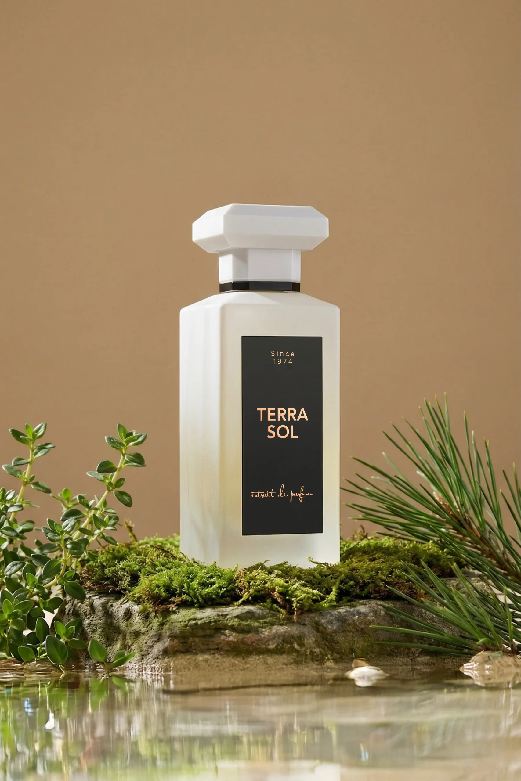 Terra Sol thumbnail 2